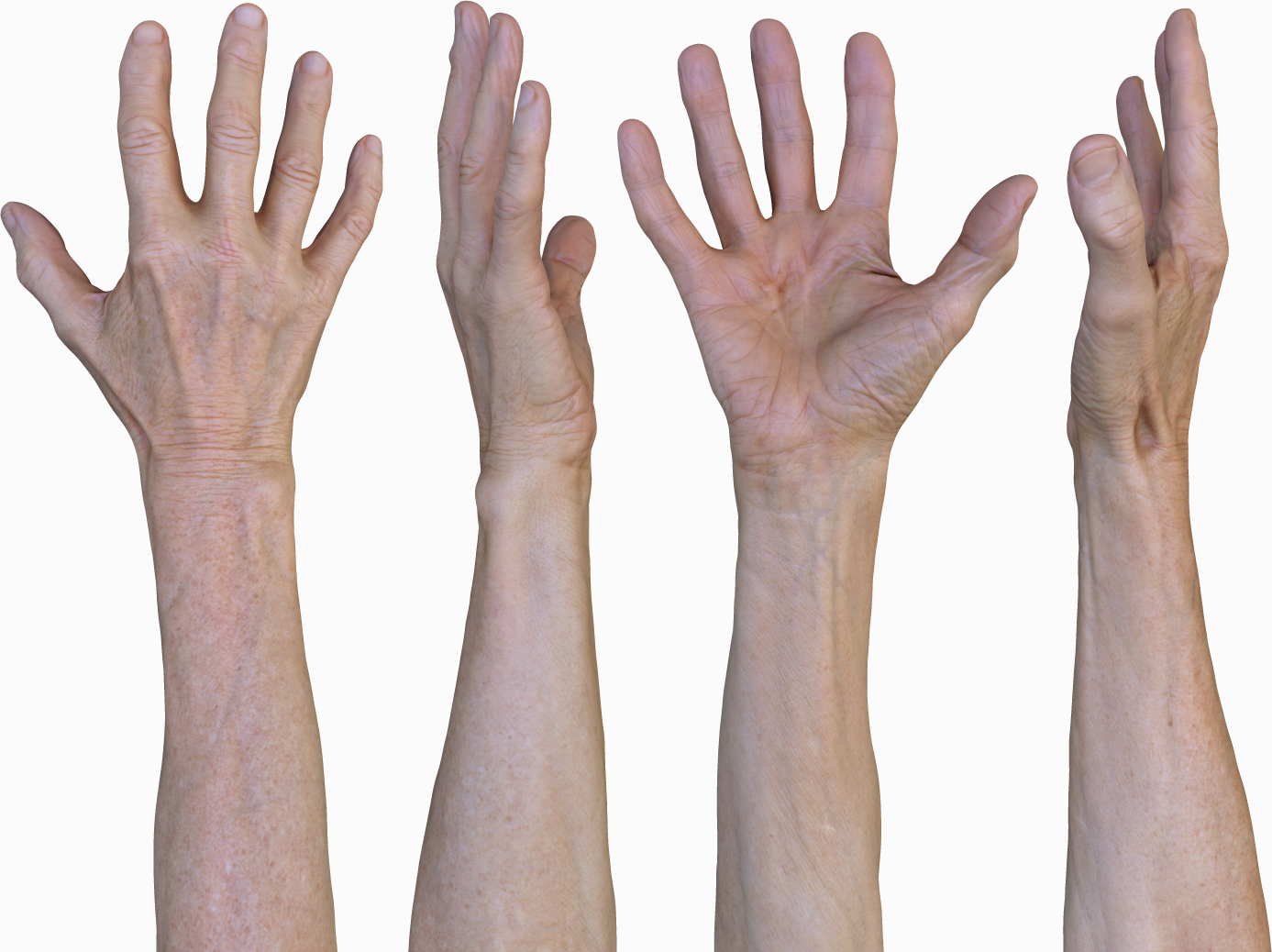 3D Male hands retopology texture